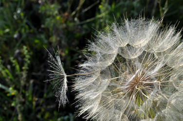 Similar image 7700314