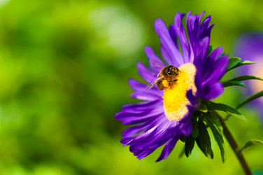 Similar image 7700315