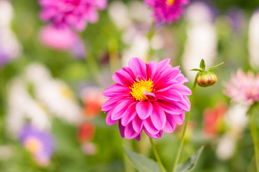 Similar image 7700319