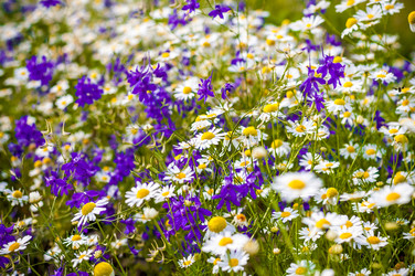 Similar image 7700323