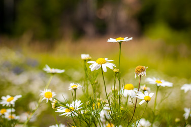 Similar image 7700324