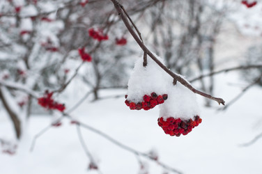 Similar image 7700326