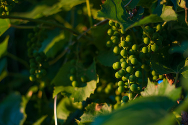 Similar image 7700331