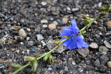 Similar image 7700332