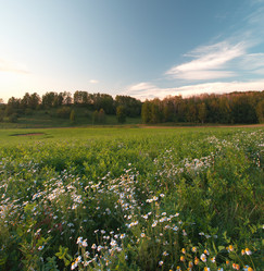 Similar image 7700337