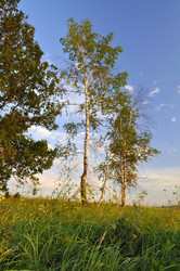 Similar image 7700340