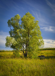 Similar image 7700341