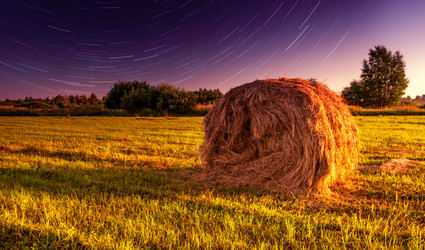 Similar image 7700365