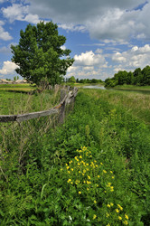 Similar image 7700377