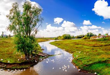 Similar image 7700384