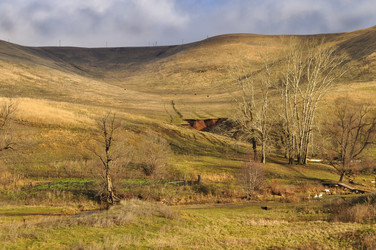 Similar image 7700385