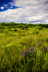 Similar image 7700388