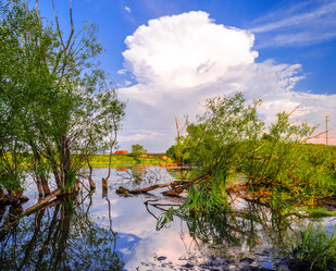 Similar image 7700390