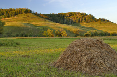 Similar image 7700391