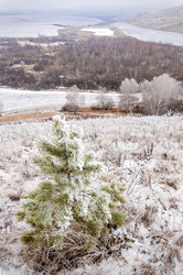 Similar image 7700395