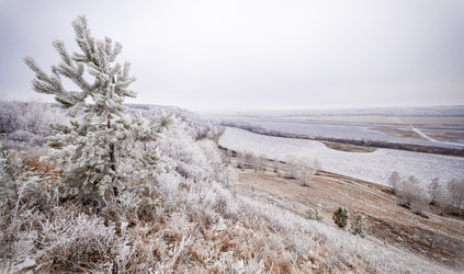 Similar image 7700423