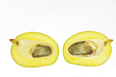 Similar image 7700615