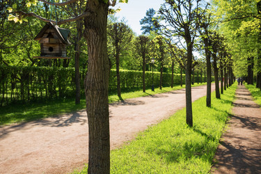 Similar image 7700783