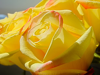 Similar image 7700858