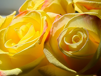 Similar image 7700861