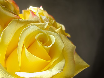 Similar image 7700862