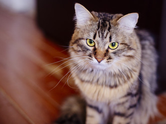 Similar image 7700866