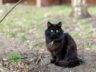 Similar image 7700867