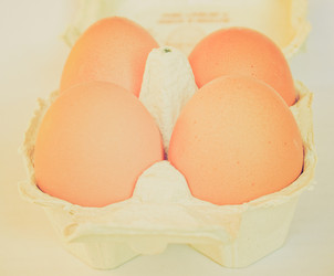 Similar image 7701117