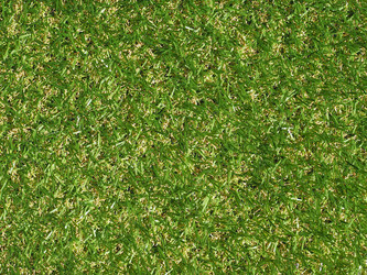 Similar image 7701224