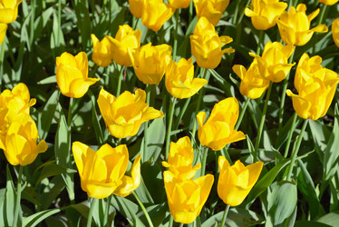 Similar image 7701330