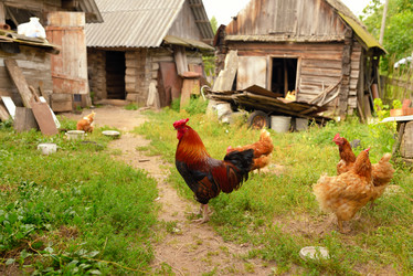 Similar image 7701332