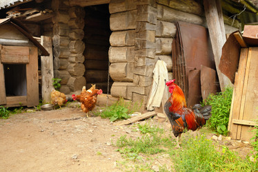 Similar image 7701333