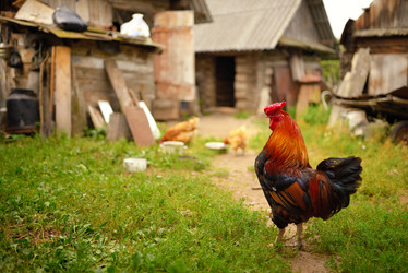 Similar image 7701334