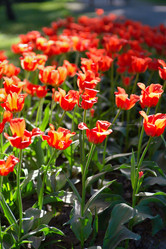 Similar image 7701338