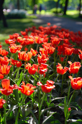 Similar image 7701343