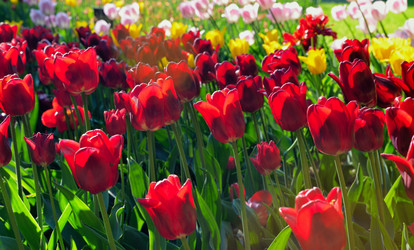 Similar image 7701344