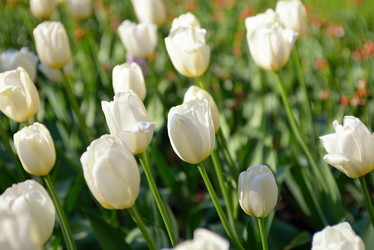 Similar image 7701346