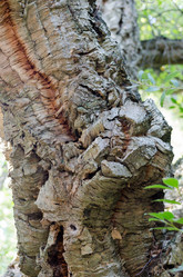 Similar image 7701347