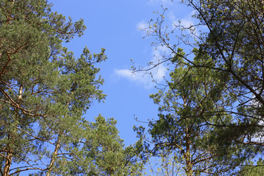 Similar image 7701378