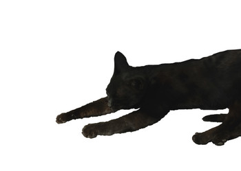 Similar image 7701379