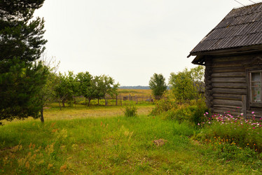 Similar image 7701388