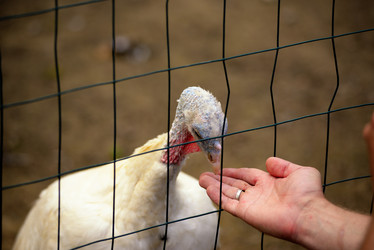 Similar image 7701427