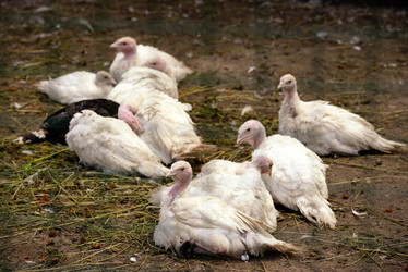 Similar image 7701428