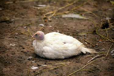 Similar image 7701440