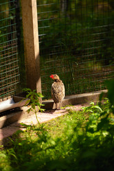 Similar image 7701441