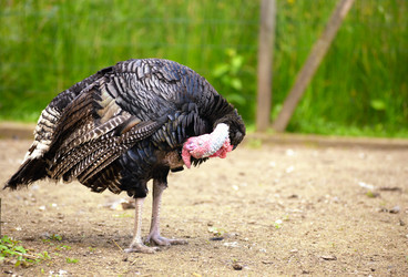 Similar image 7701443