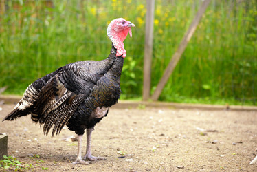 Similar image 7701444