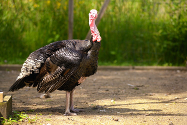 Similar image 7701445