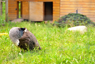 Similar image 7701446