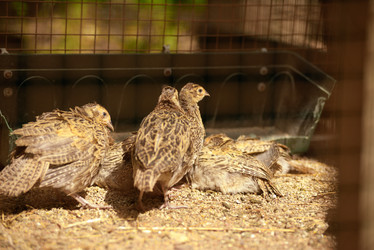 Similar image 7701448